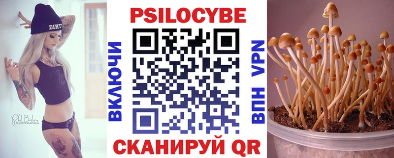 Галлюциногенные грибы мухоморы  Губкин 